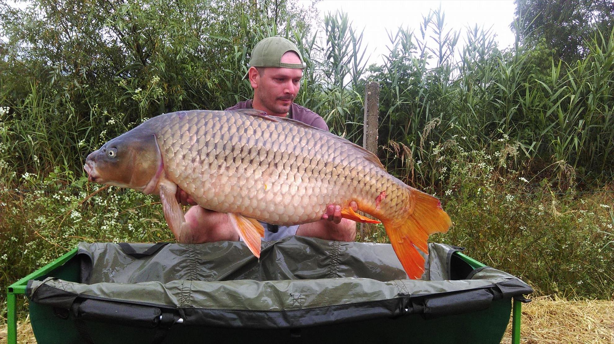 capturi 2016 - 20,6 kg